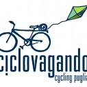 Marchio Ciclovagando blu